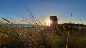 Lensterstrand – Naturstrand in der Lübecker Bucht