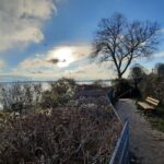 Steilküste Sierksdorf an der Ostsee